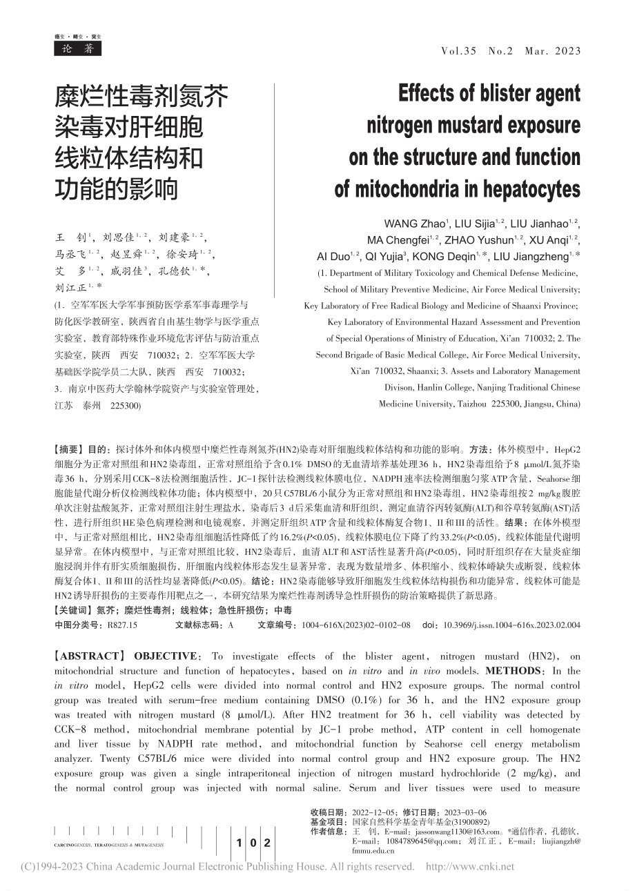 糜烂性毒剂氮芥染毒对肝细胞线粒体结构和功能的影响_王钊.pdf_第1页