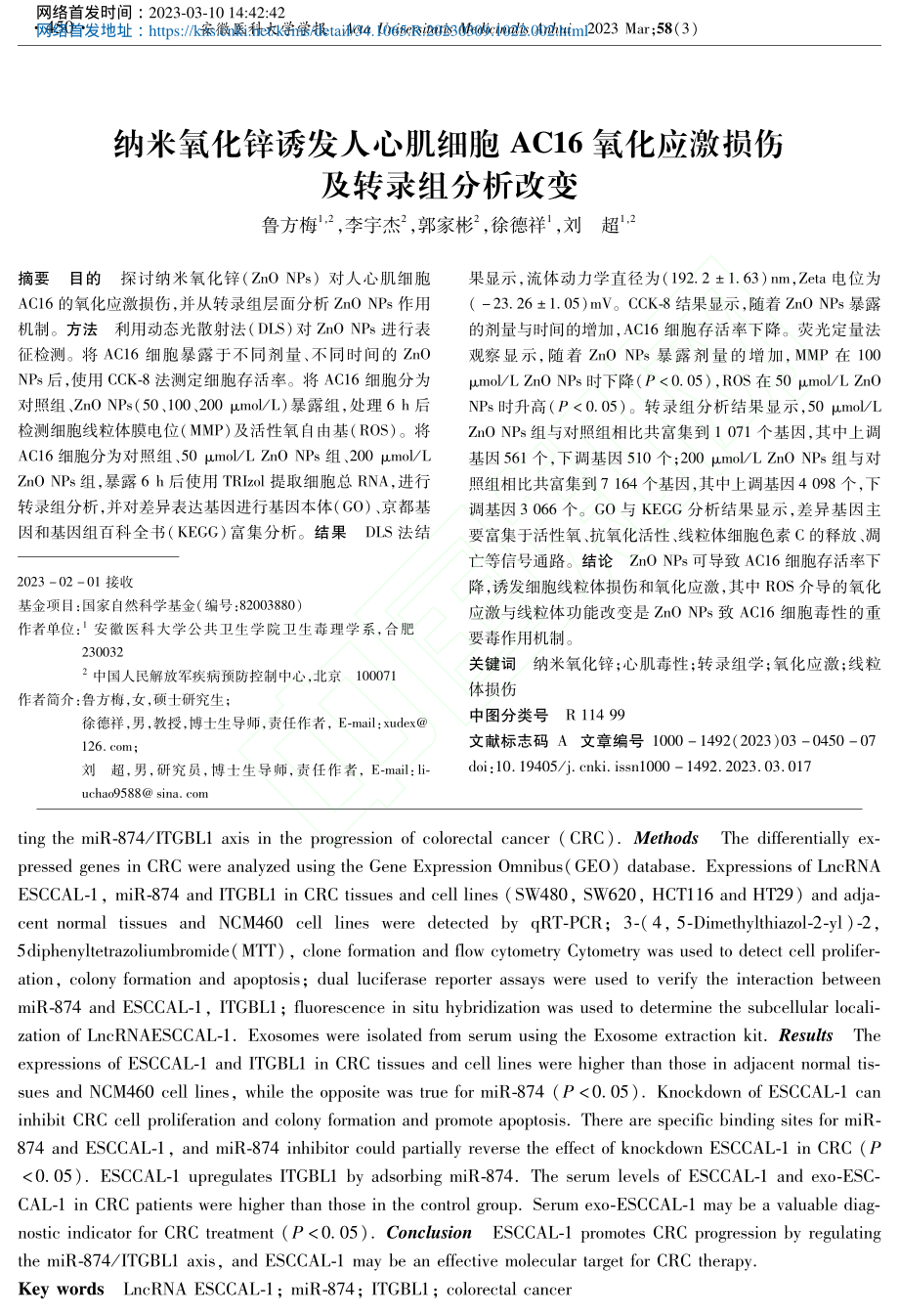 纳米氧化锌诱发人心肌细胞A...化应激损伤及转录组分析改变_鲁方梅.pdf_第1页