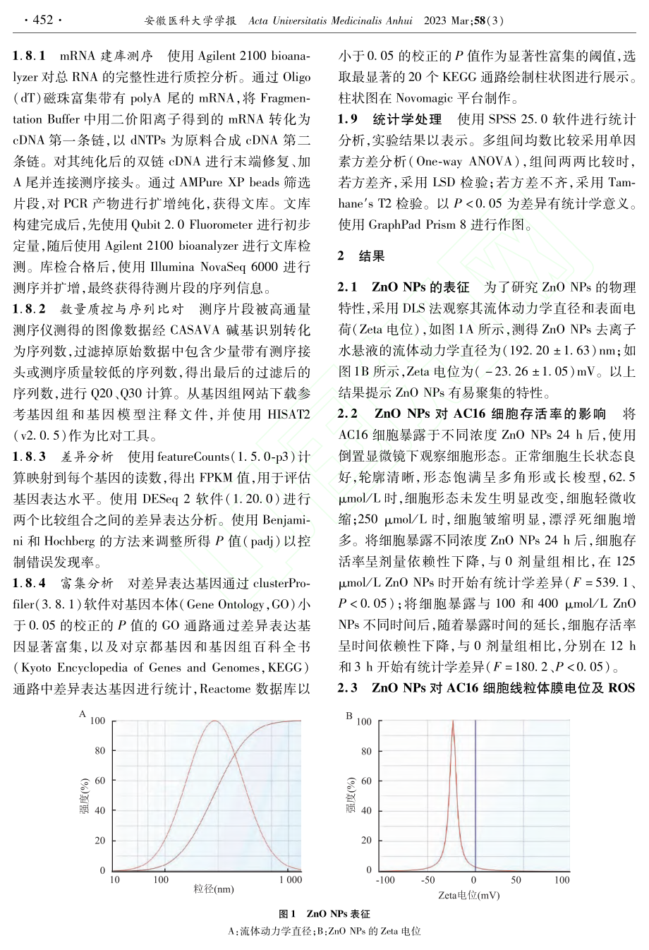 纳米氧化锌诱发人心肌细胞A...化应激损伤及转录组分析改变_鲁方梅.pdf_第3页