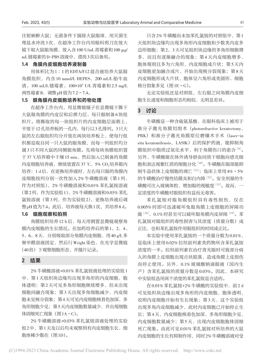 牛磺酸对苯扎氯铵损伤大鼠眼角膜内皮细胞无保护作用_葛健.pdf_第3页