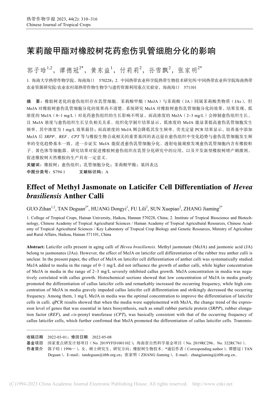 茉莉酸甲酯对橡胶树花药愈伤乳管细胞分化的影响_郭子晗.pdf_第1页