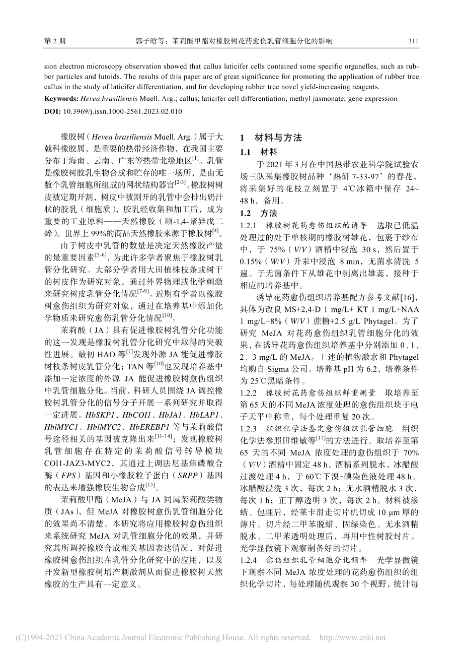 茉莉酸甲酯对橡胶树花药愈伤乳管细胞分化的影响_郭子晗.pdf_第2页