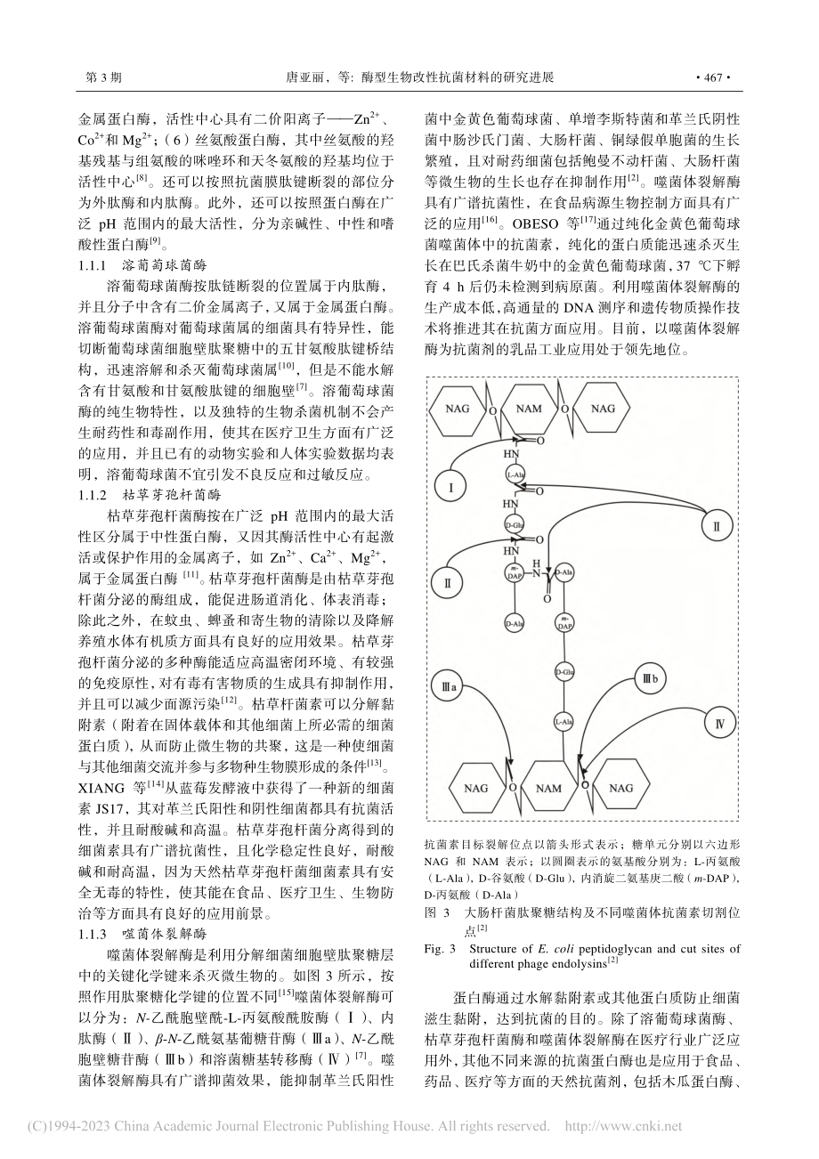 酶型生物改性抗菌材料的研究进展_唐亚丽.pdf_第3页