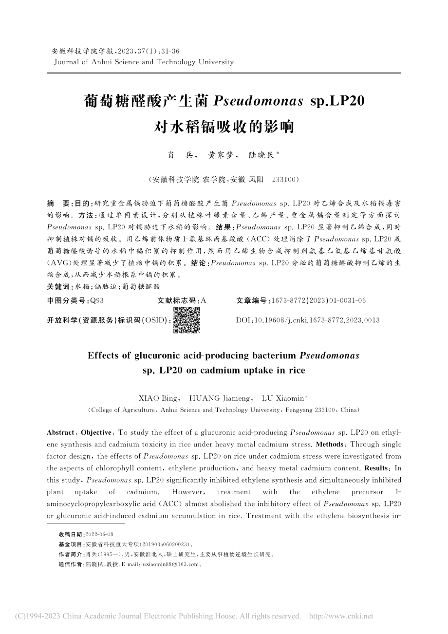 葡萄糖醛酸产生菌Pseud...LP20对水稻镉吸收的影响_肖兵.pdf_第1页