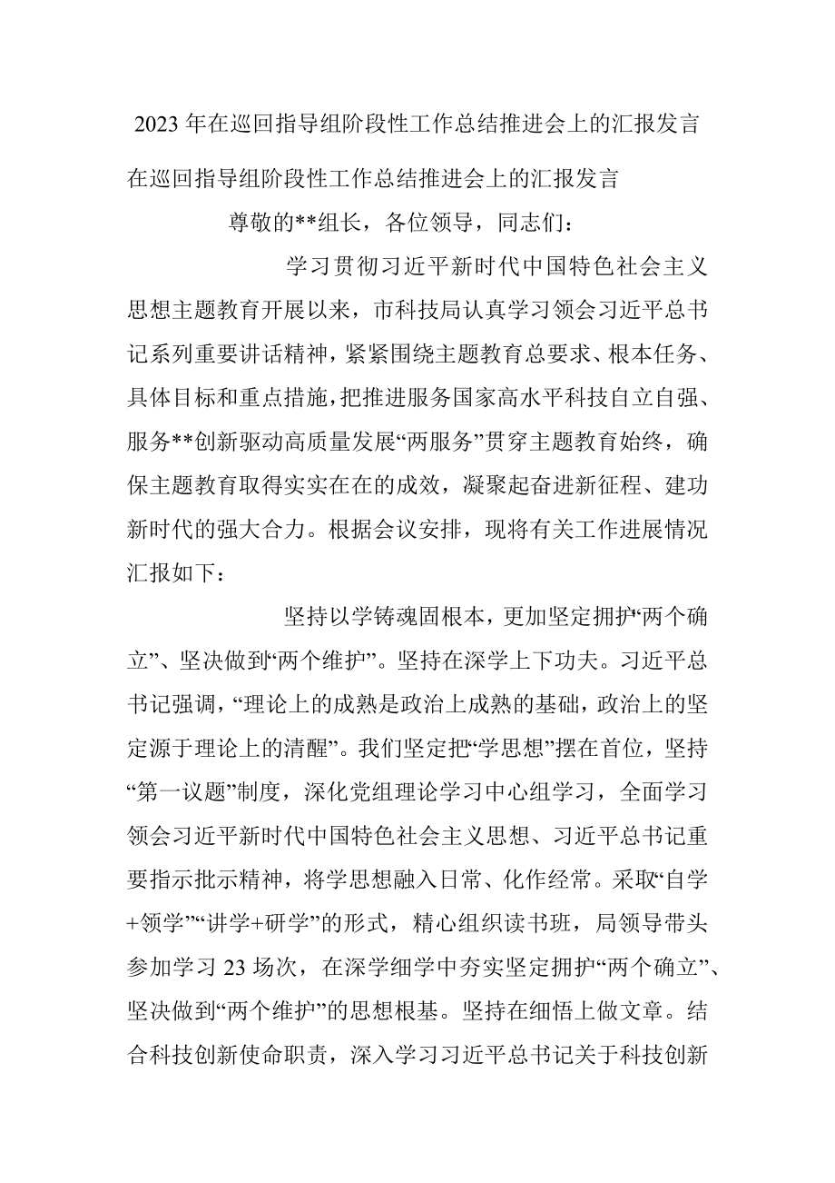 2023年在巡回指导组阶段性工作总结推进会上的汇报发言.docx_第1页