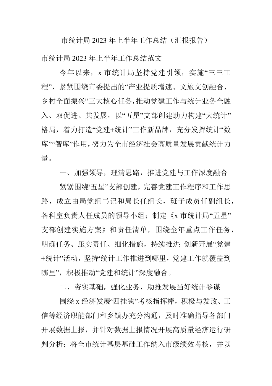 市统计局2023年上半年工作总结（汇报报告）.docx_第1页