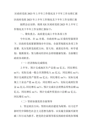 区政府党组2023年上半年工作情况及下半年工作安排汇报.docx