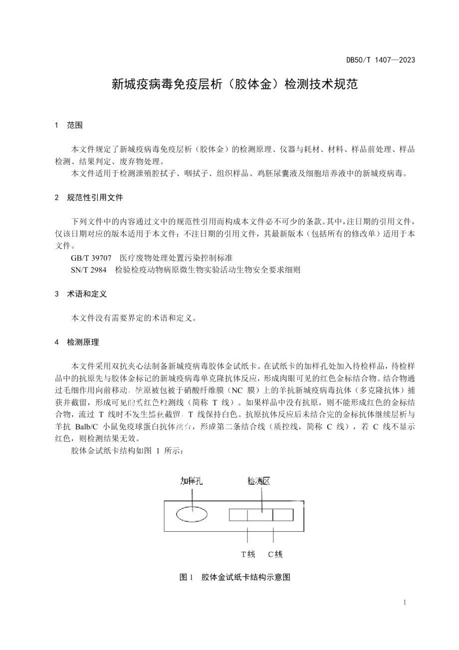 DB50T 1407-2023新城疫病毒免疫层析（胶体金）检测技术规范.pdf_第3页