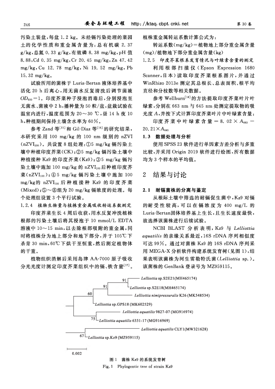 Lelliottia sp.Kz9与纳米零价铁强化印度芥菜修复土壤镉污染.pdf_第3页