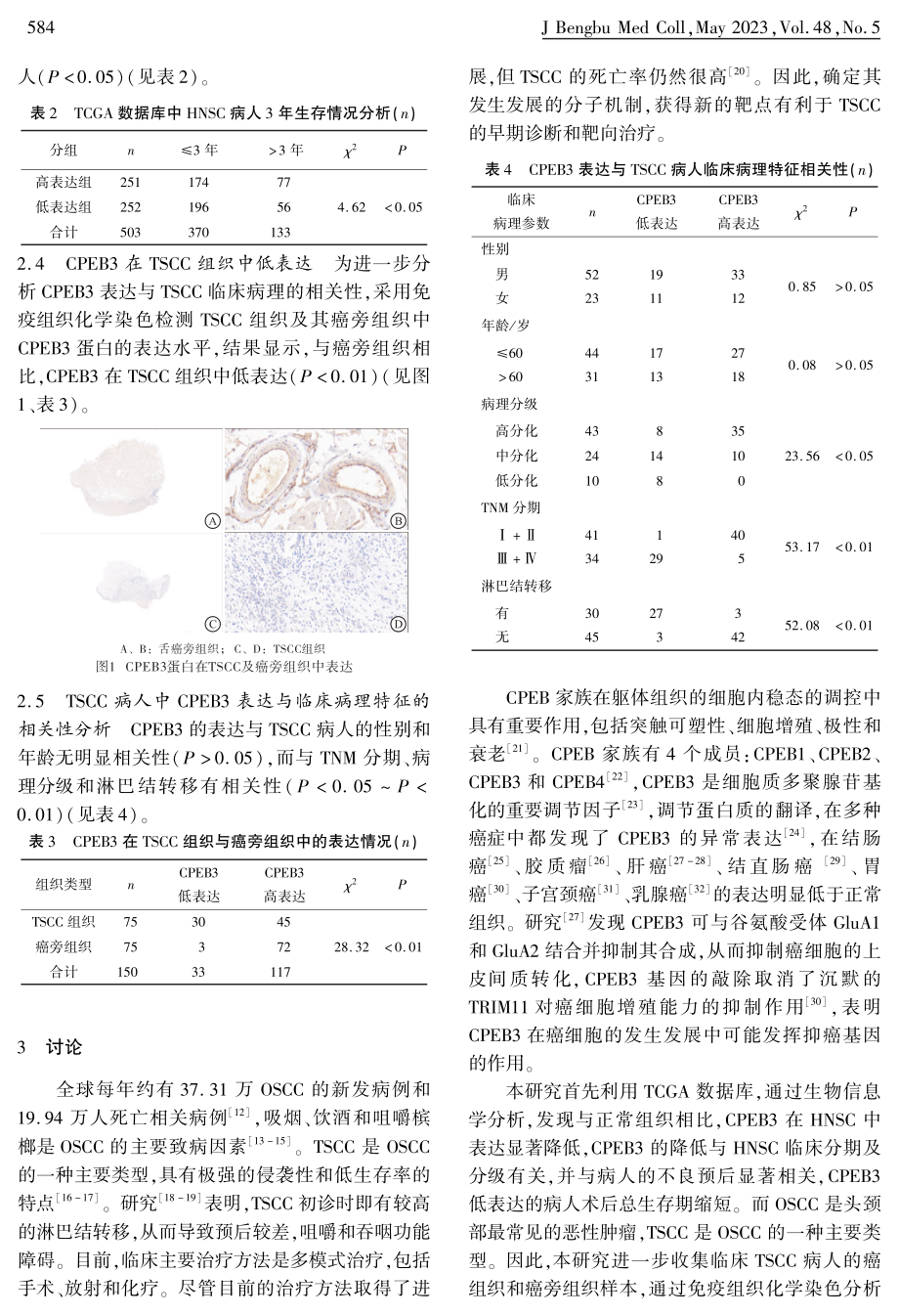 CPEB3在人舌鳞状细胞癌组织中的表达及与临床病理特征相关性分析.pdf_第3页