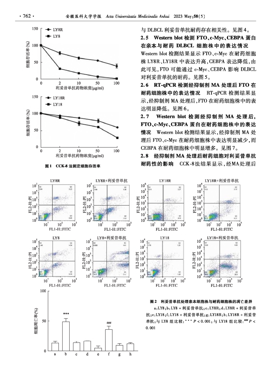 FTO及其抑制剂对DLBCL利妥昔单抗耐药的影响.pdf_第3页