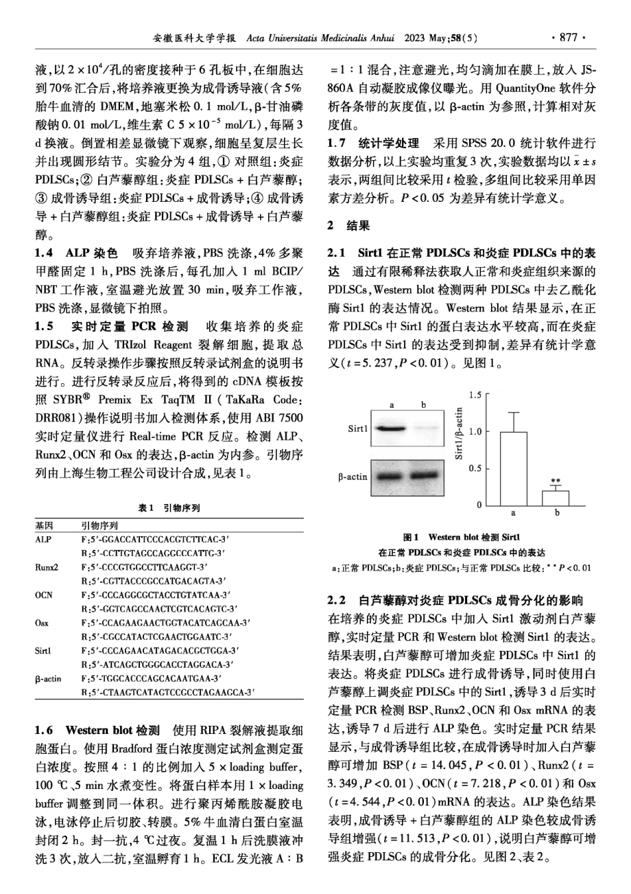 Sirt1促进炎症牙周膜干细胞成骨分化的机制.pdf_第2页