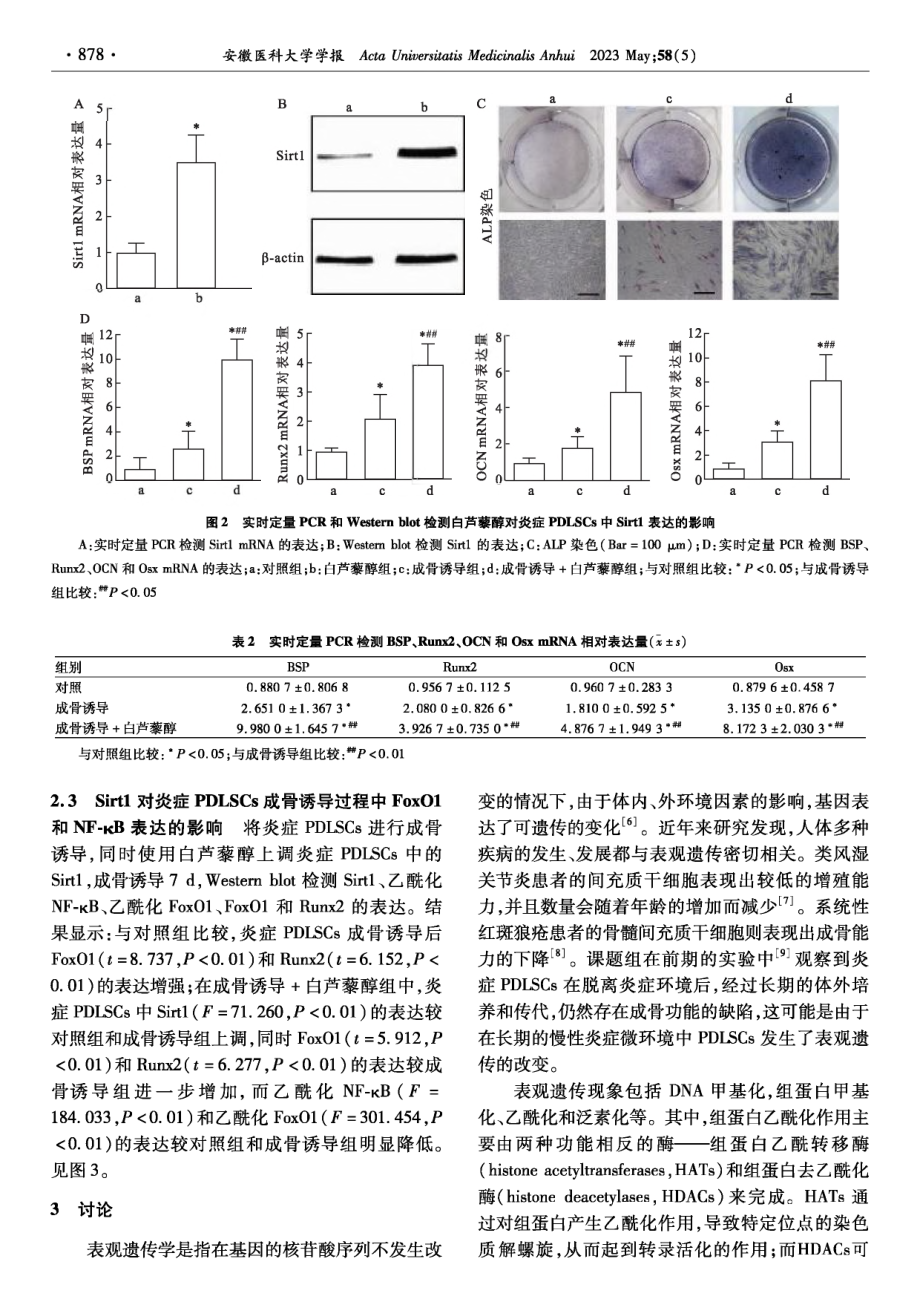 Sirt1促进炎症牙周膜干细胞成骨分化的机制.pdf_第3页