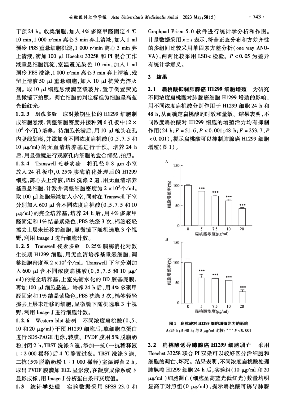 扁桃酸对肺腺癌H1299细胞增殖、凋亡和迁移能力的影响及其机制.pdf_第2页