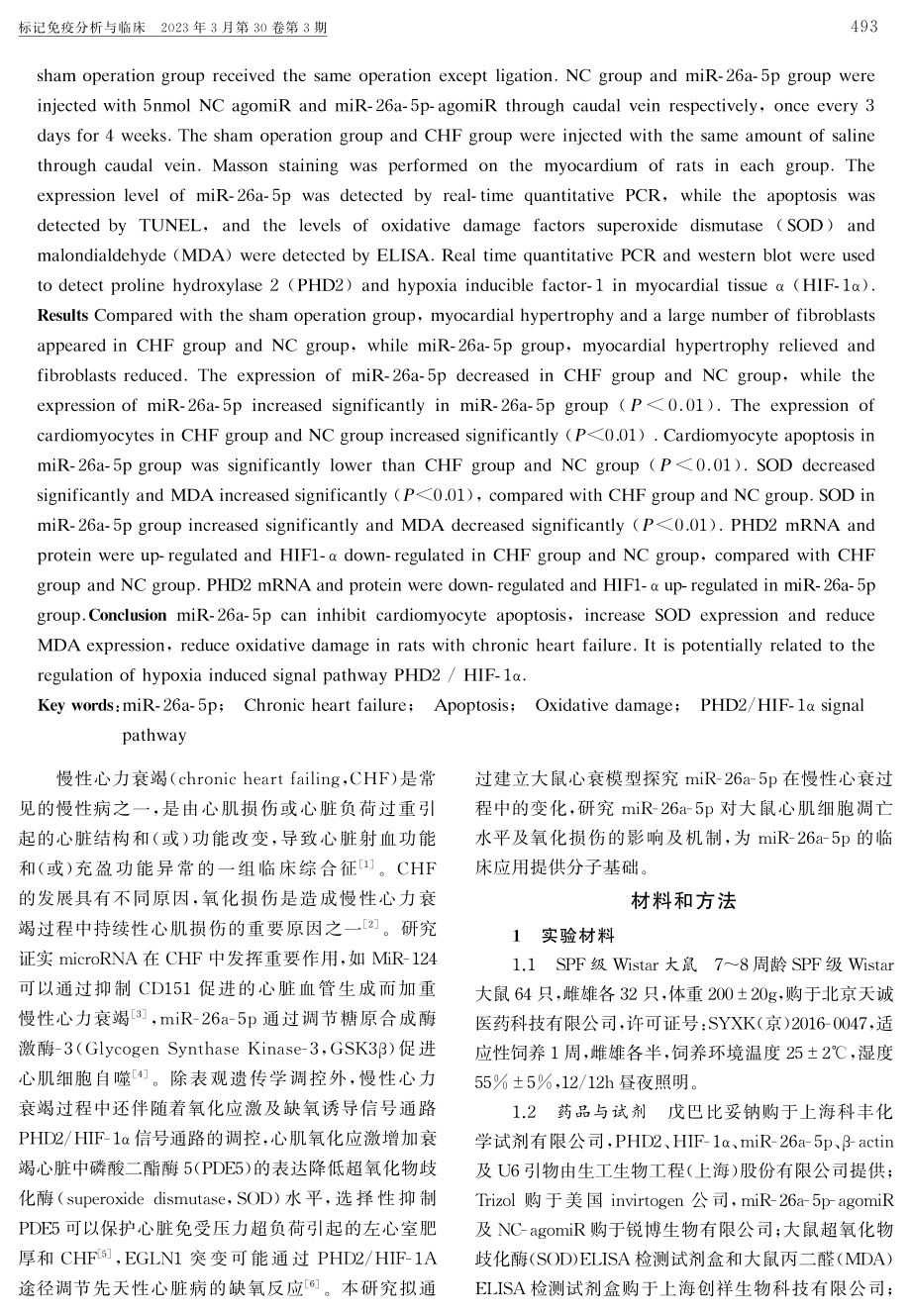 miR-26a-5p基于PHD2_HIF-1α通路对慢性心力衰竭大鼠心肌细胞凋亡作用的研究.pdf_第2页