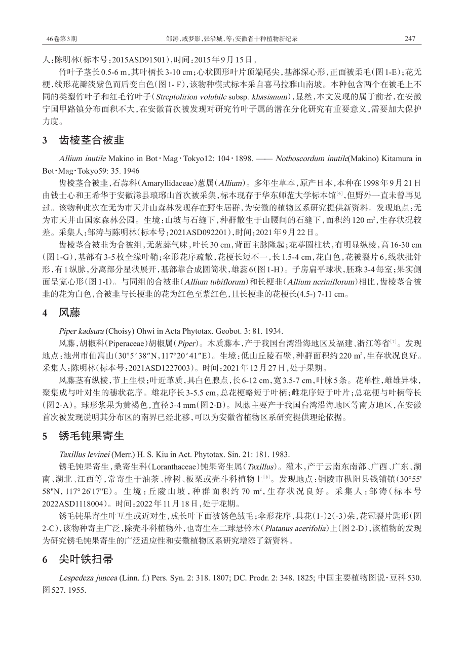 安徽省十种植物新纪录.pdf_第3页