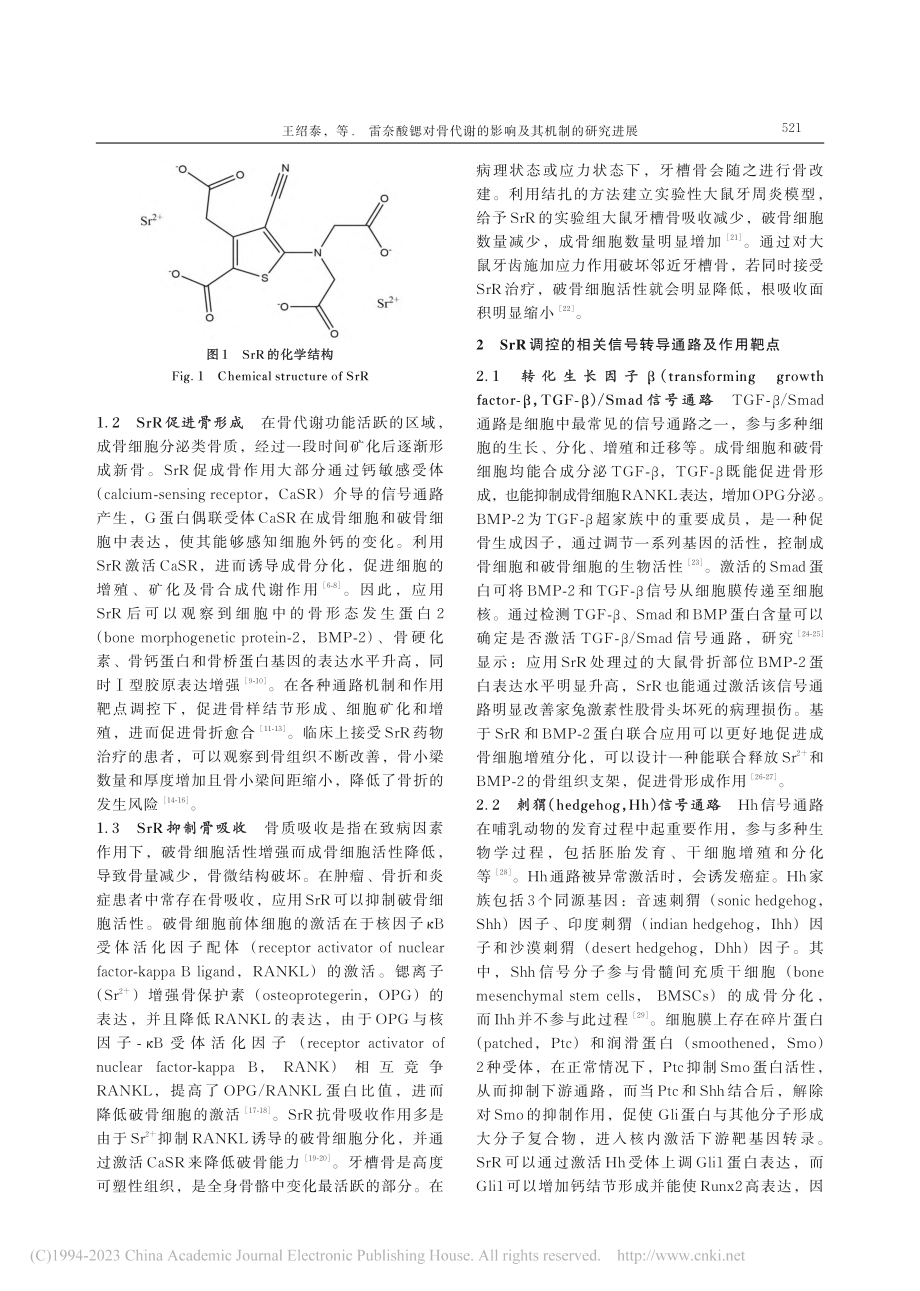 雷奈酸锶对骨代谢的影响及其机制的研究进展_王绍泰.pdf_第2页