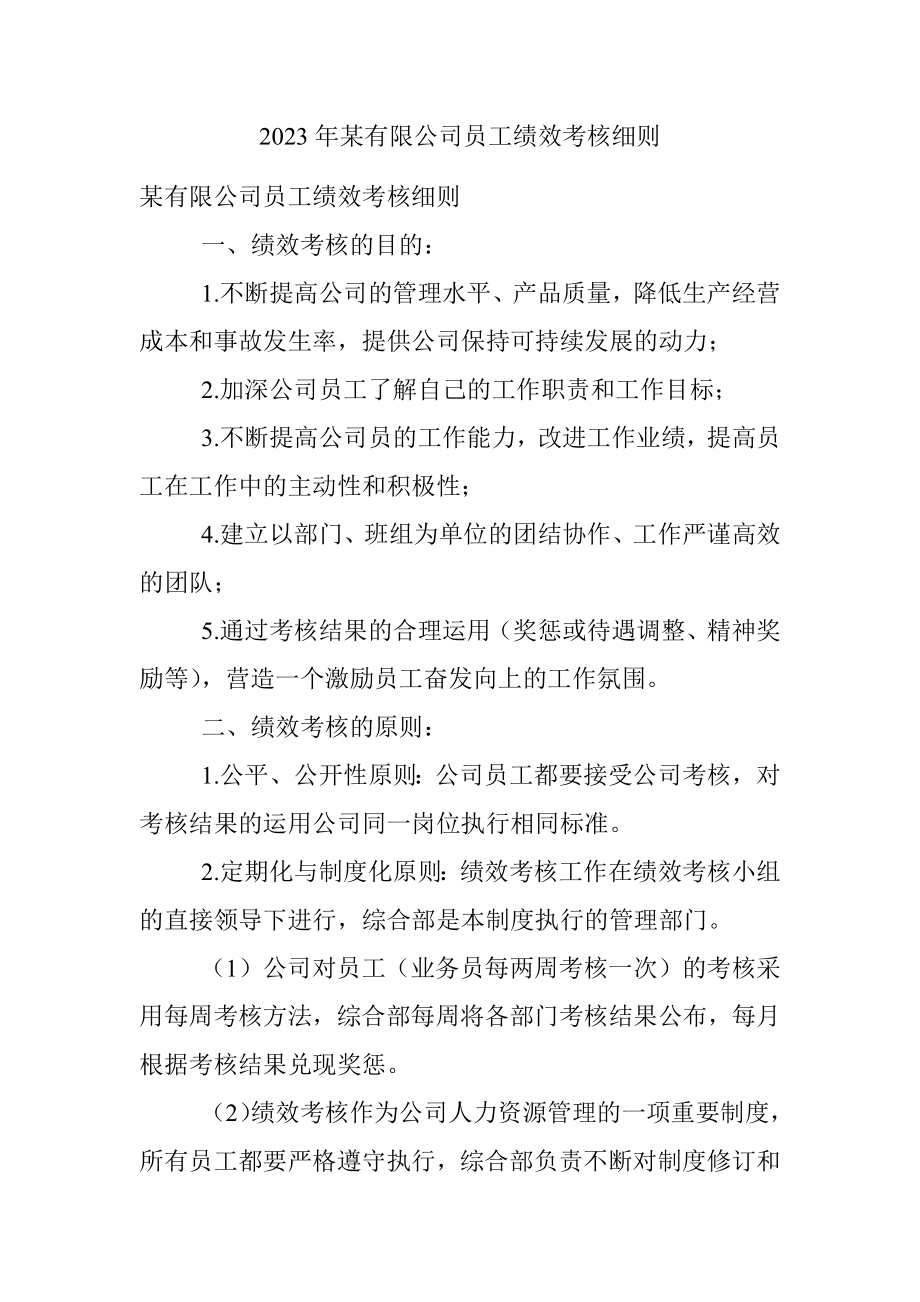 2023年某有限公司员工绩效考核细则.docx_第1页