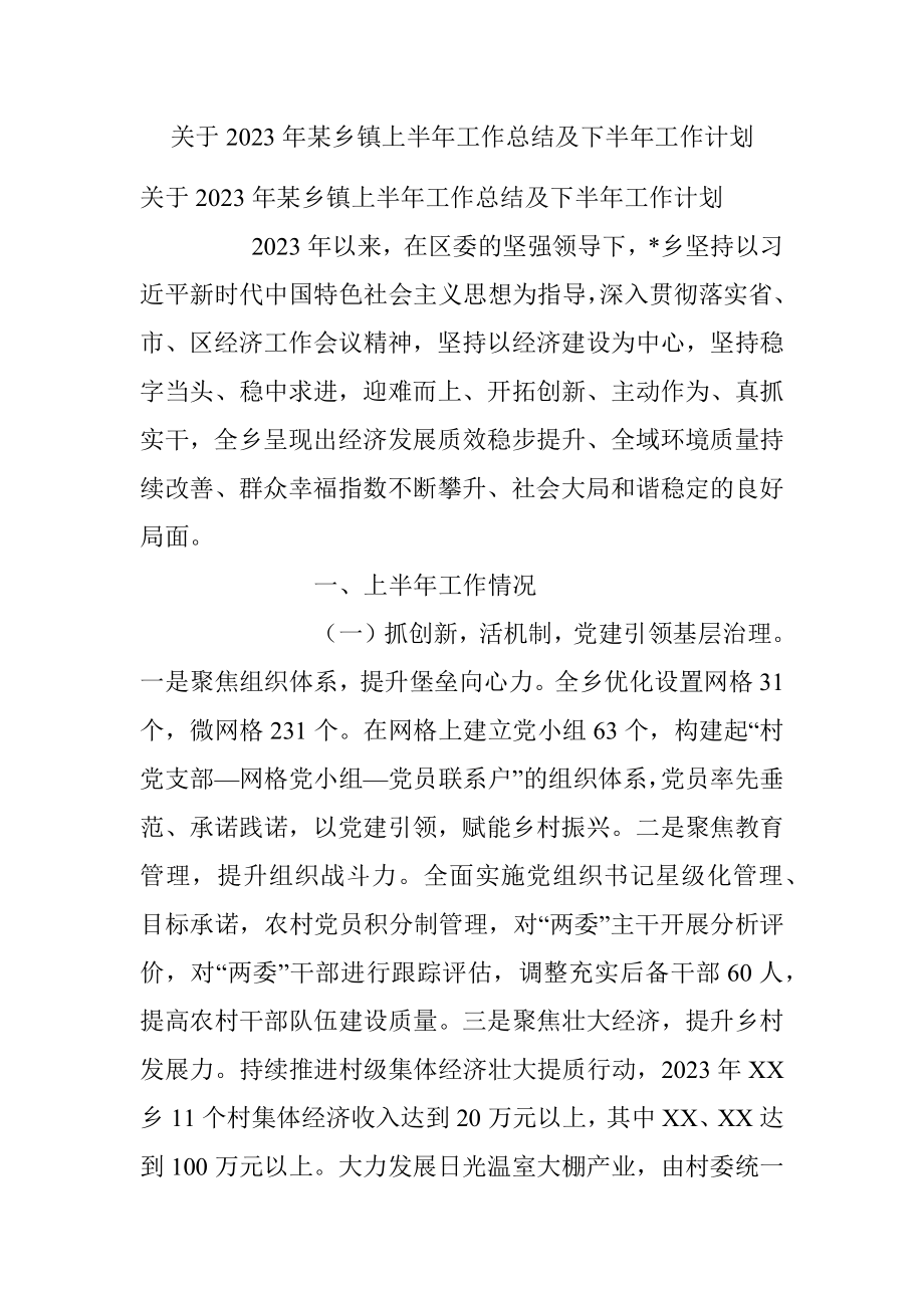 关于2023年某乡镇上半年工作总结及下半年工作计划.docx_第1页