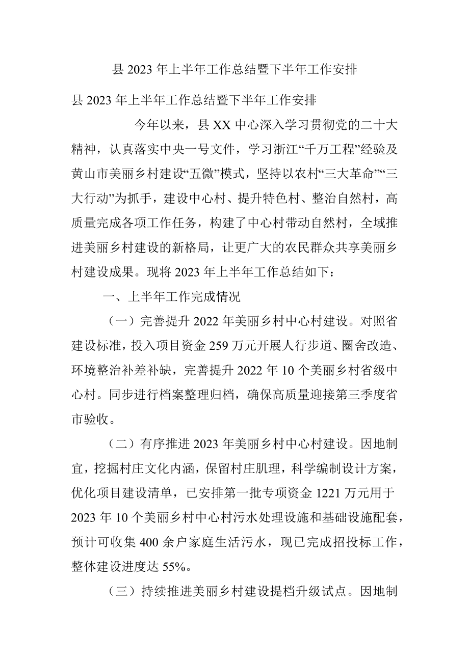 县2023年上半年工作总结暨下半年工作安排.docx_第1页