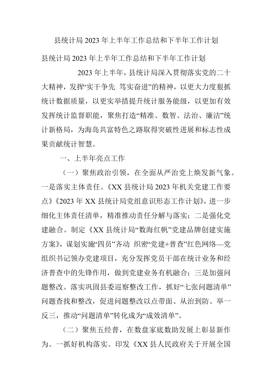 县统计局2023年上半年工作总结和下半年工作计划.docx_第1页