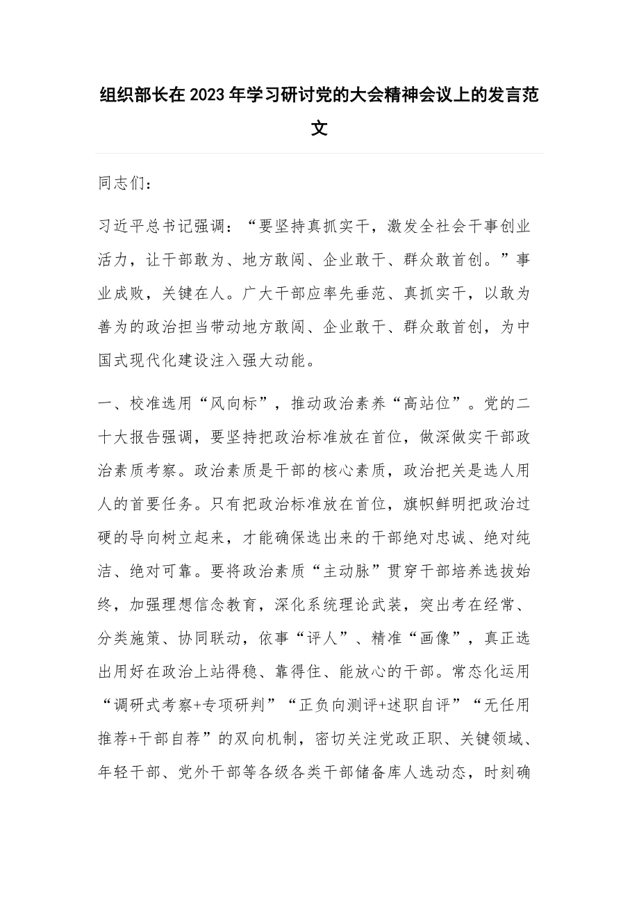 领导干部在2023年学习研讨党的大会精神会议上的发言范文.docx_第1页