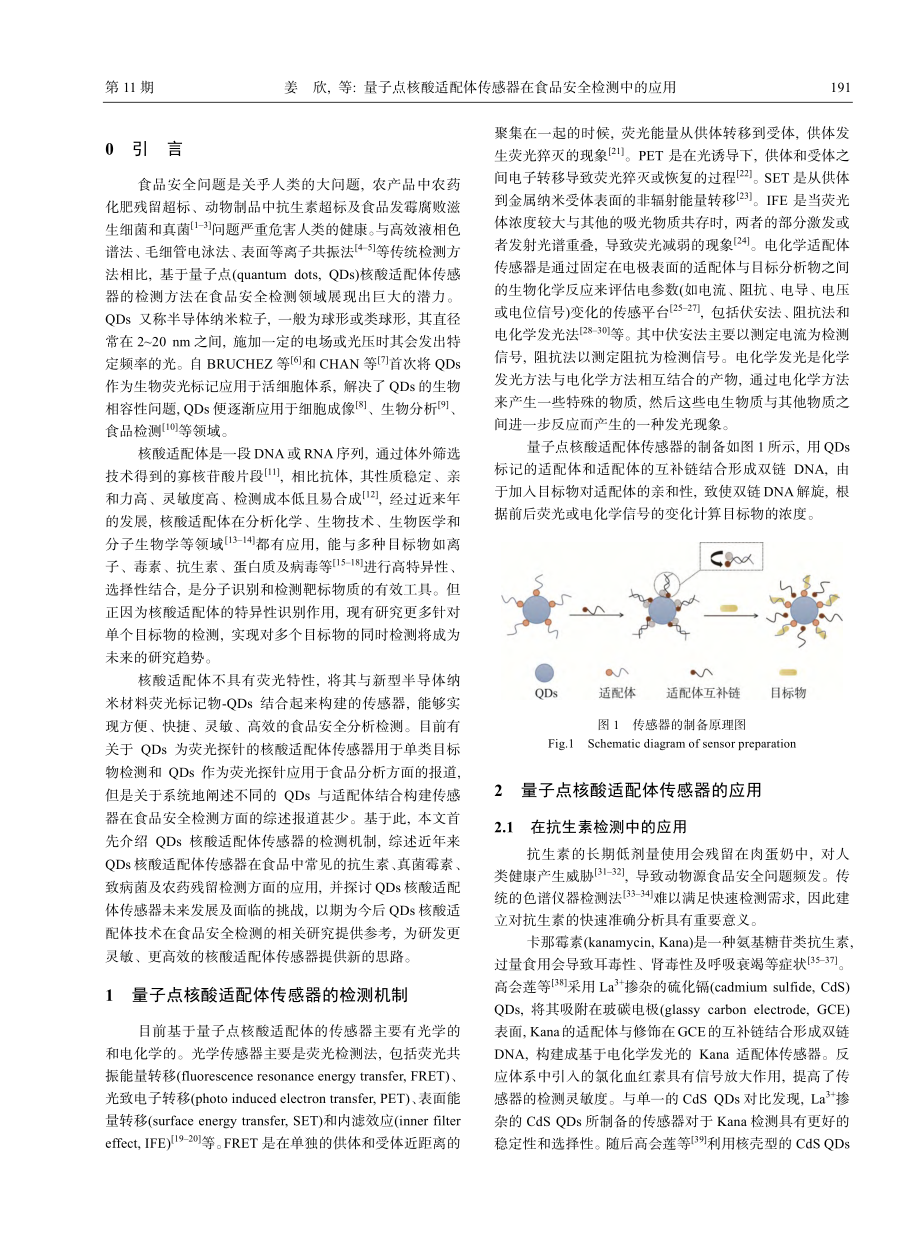 量子点核酸适配体传感器在食品安全检测中的应用_姜欣.pdf_第2页