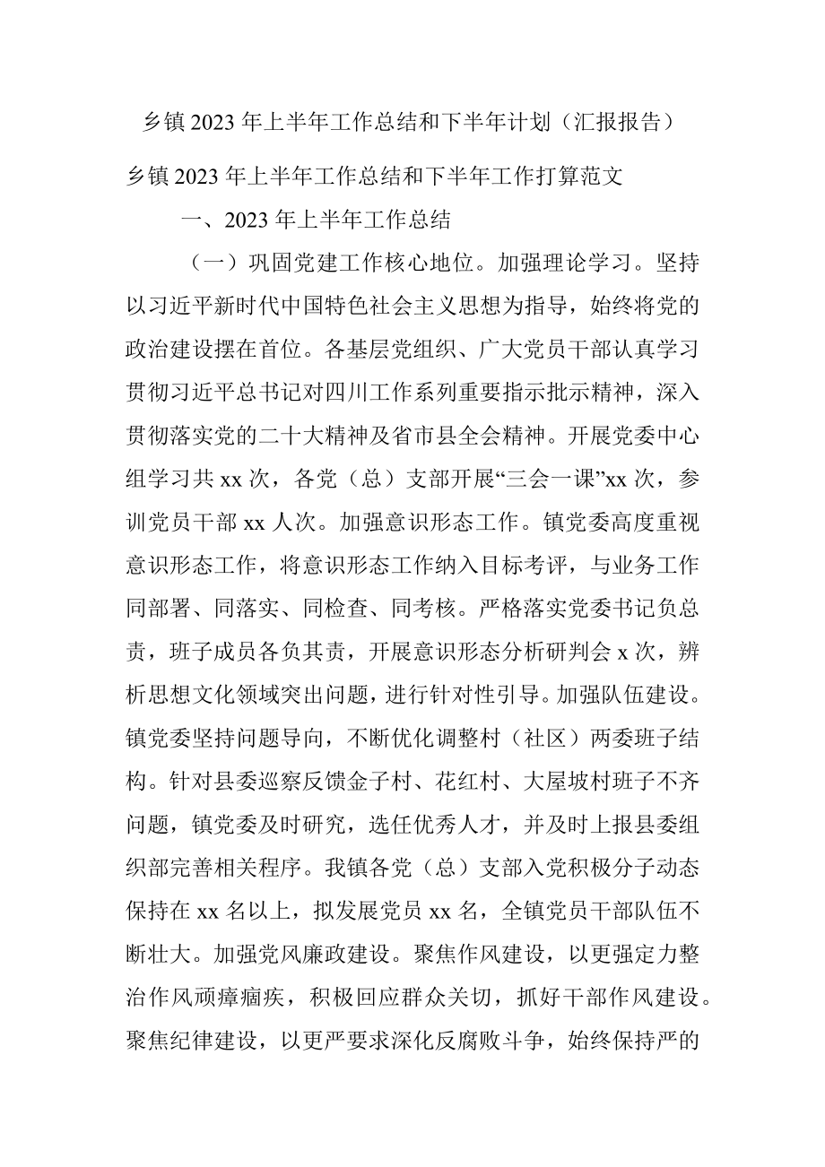 乡镇2023年上半年工作总结和下半年计划（汇报报告）.docx_第1页