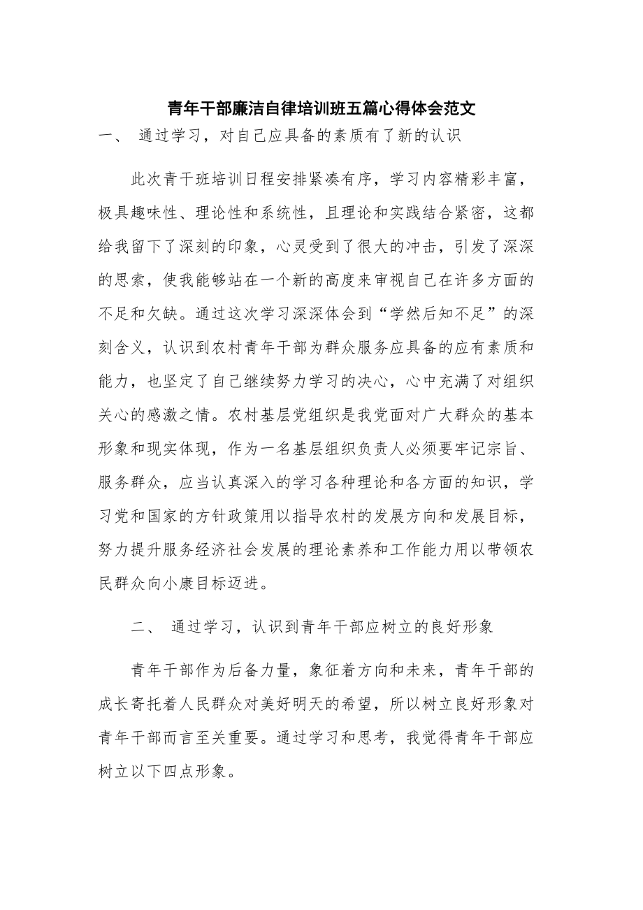 青年干部廉洁自律培训班五篇心得体会范文.docx_第1页