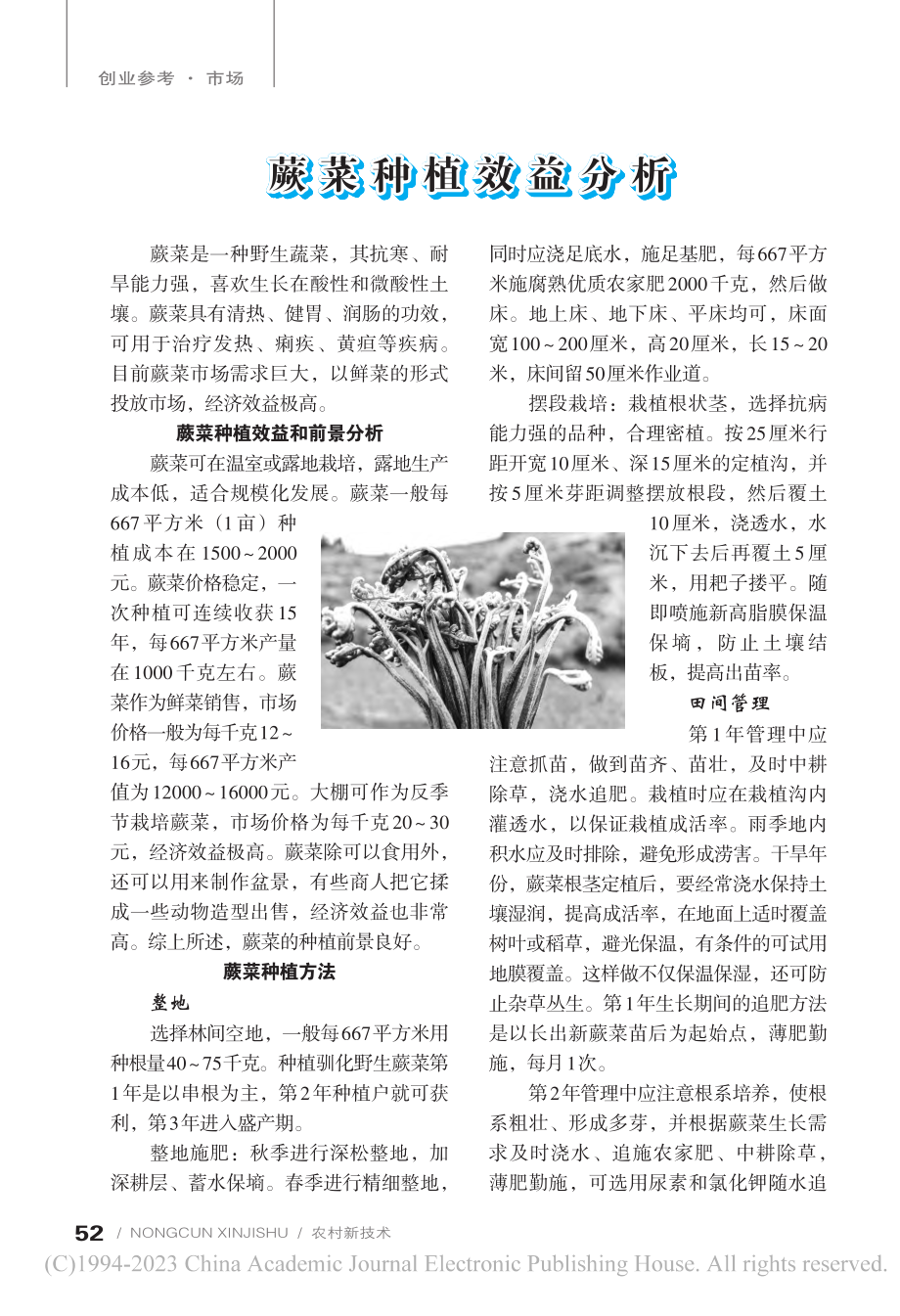 蕨菜种植效益分析_陈可.pdf_第1页