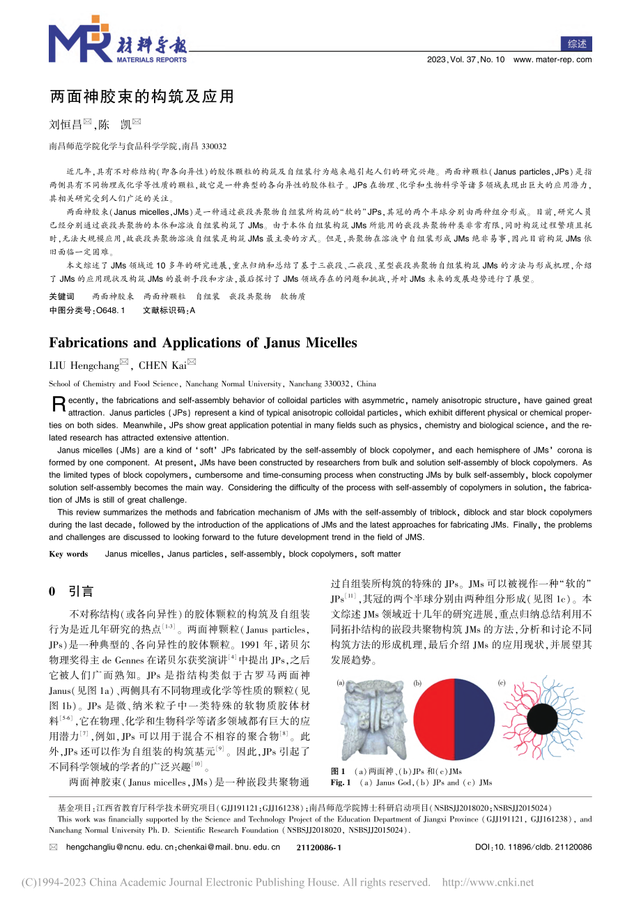 两面神胶束的构筑及应用_刘恒昌.pdf_第1页