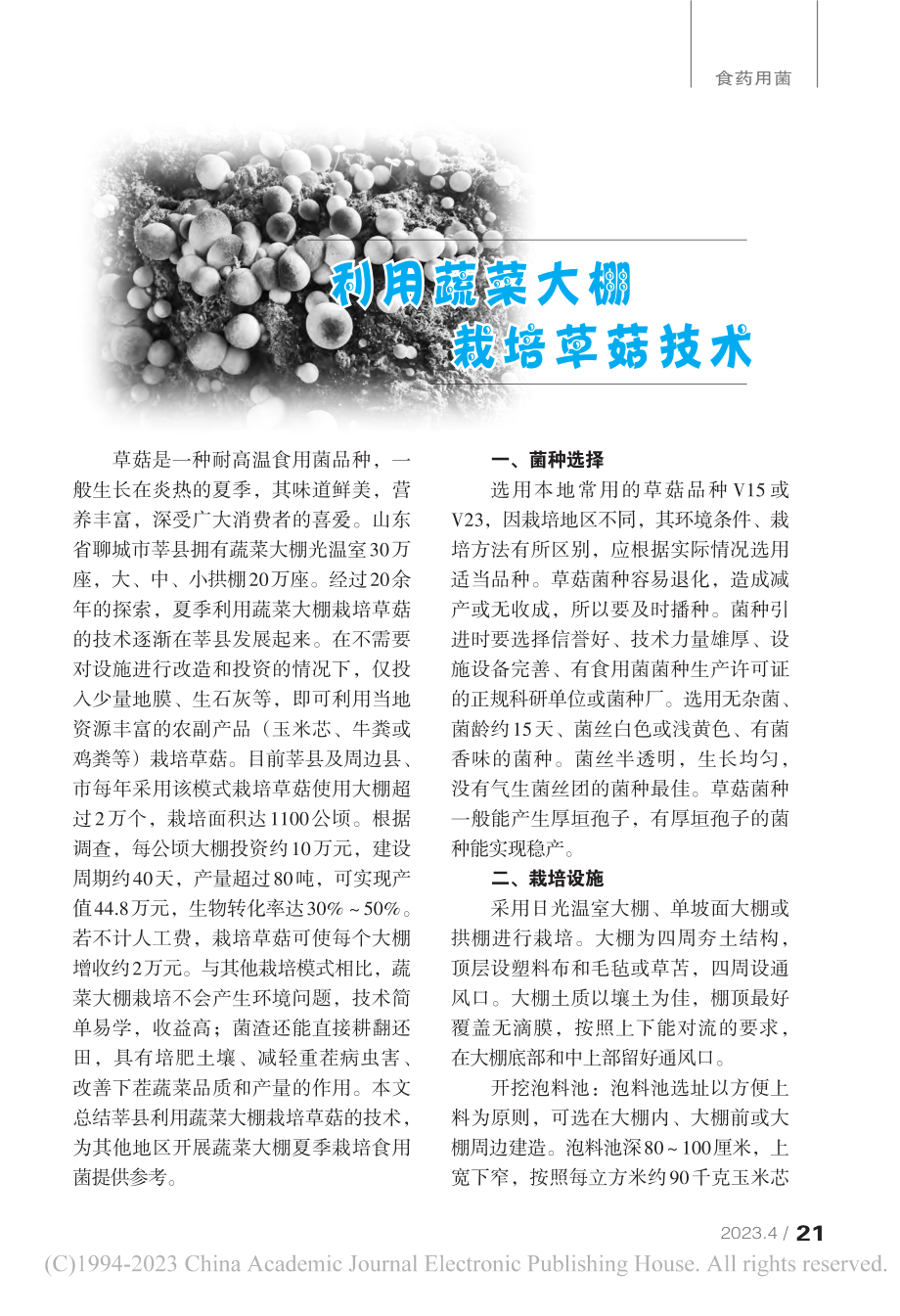 利用蔬菜大棚栽培草菇技术_陈举新_.pdf_第1页