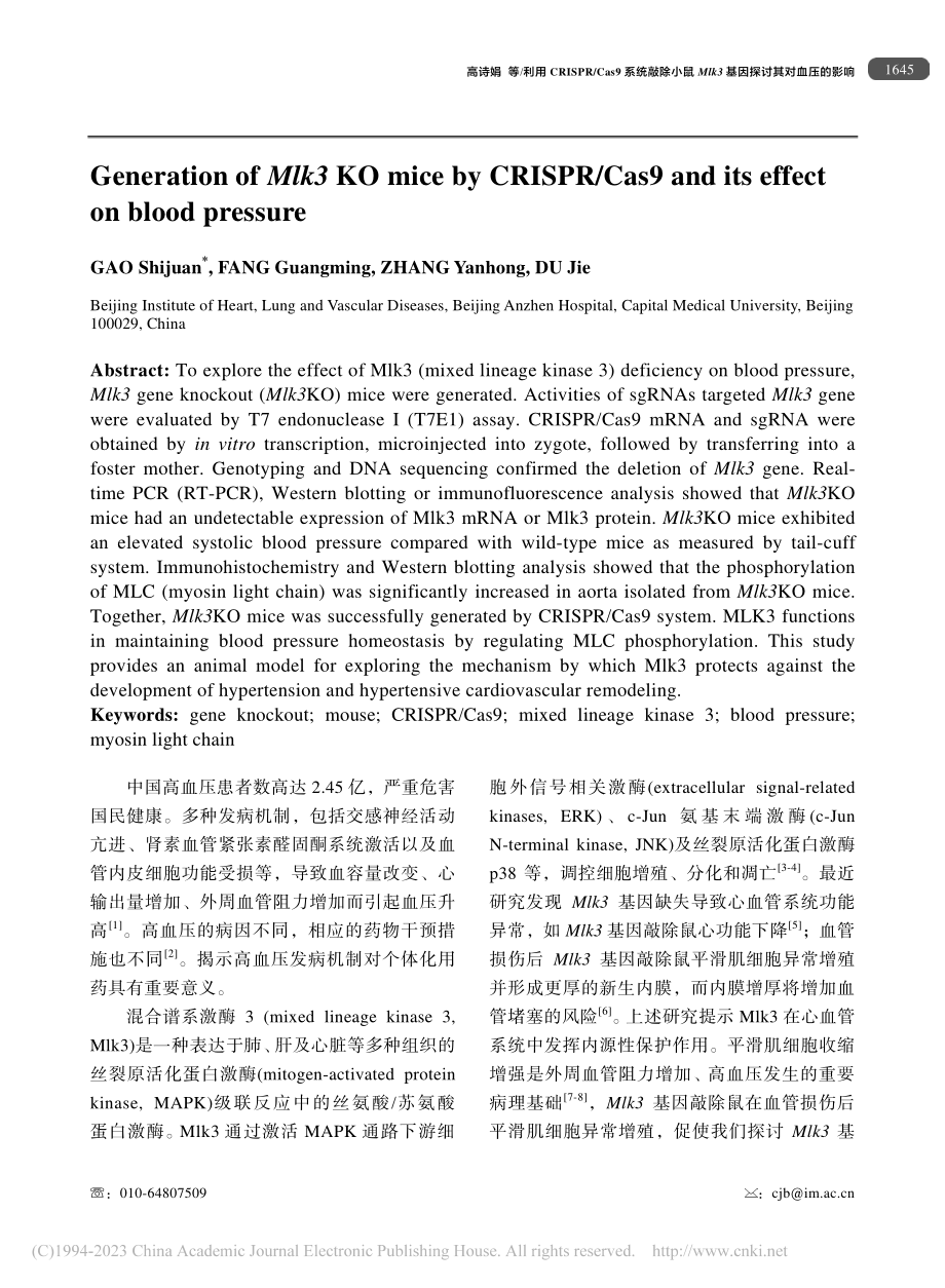 利用CRISPR_Cas9...k3基因探讨其对血压的影响_高诗娟.pdf_第2页