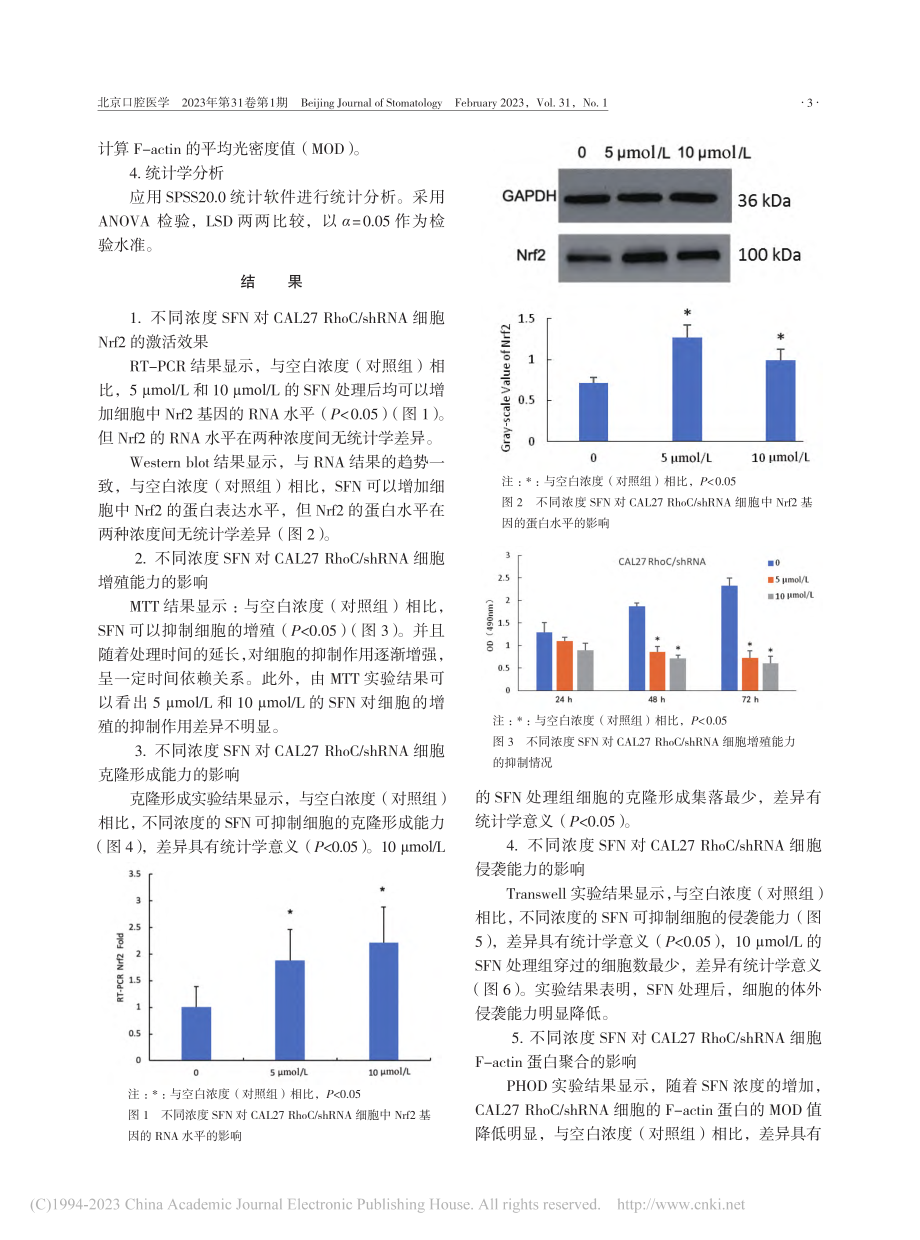 莱菔硫烷对RhoC敲低的口腔鳞癌细胞的调控作用_高峰.pdf_第3页