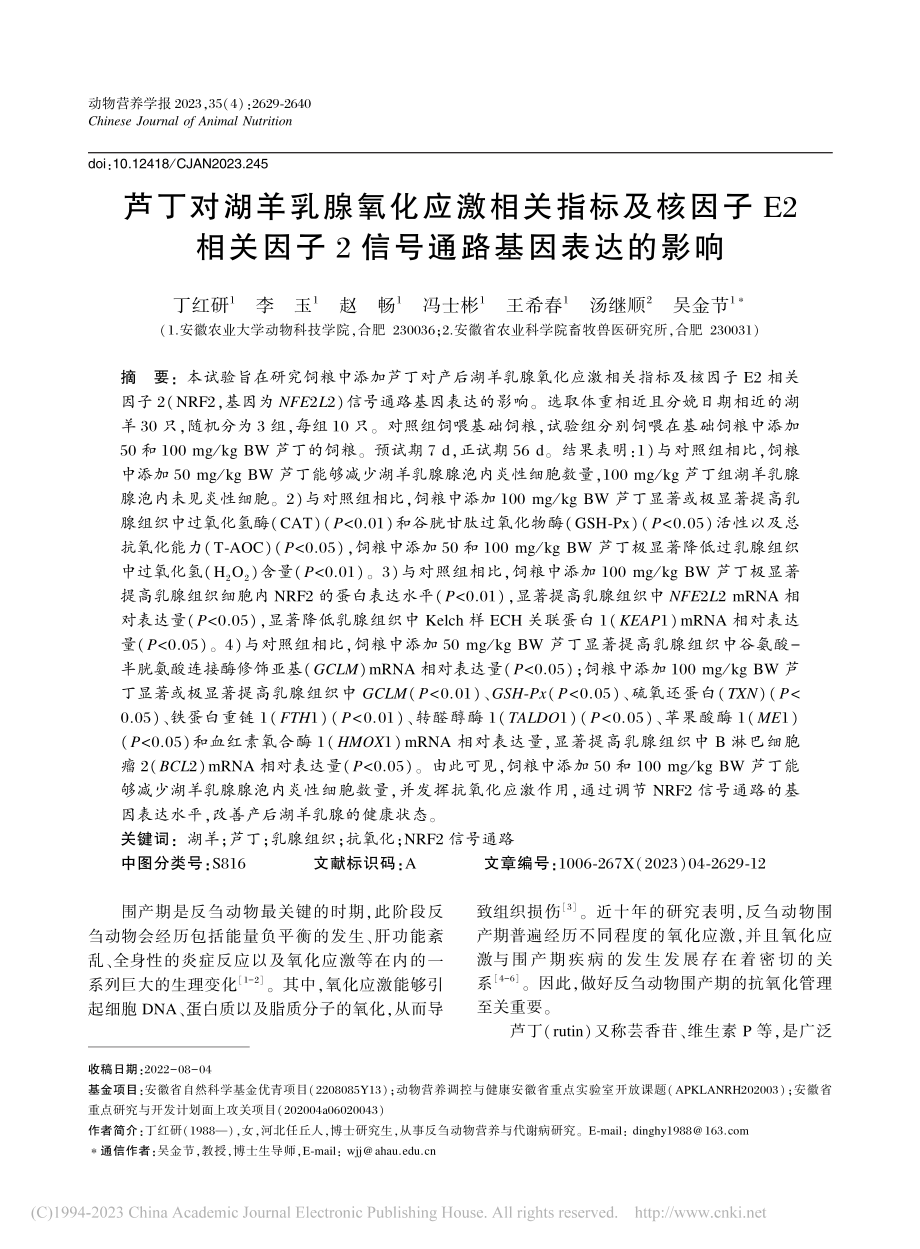 芦丁对湖羊乳腺氧化应激相关...子2信号通路基因表达的影响_丁红研.pdf_第1页