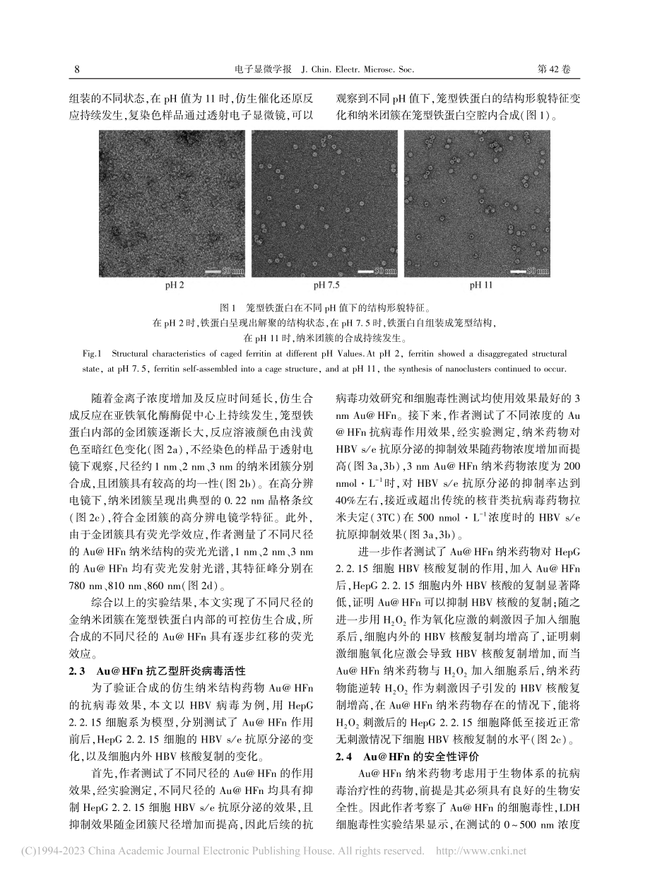 笼型蛋白仿生纳米结构构建及抗病毒研究_袁嫕.pdf_第3页