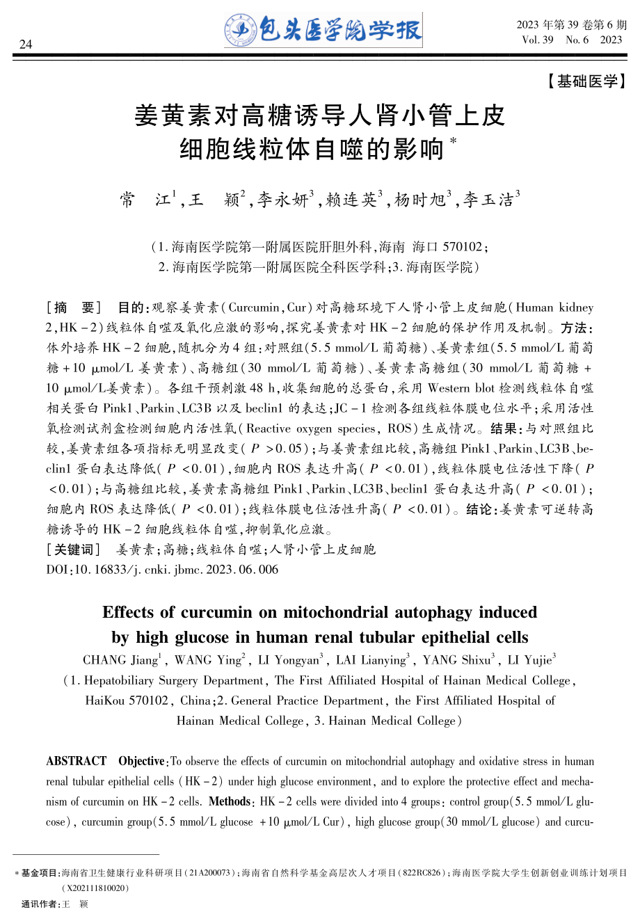 姜黄素对高糖诱导人肾小管上皮细胞线粒体自噬的影响.pdf_第1页