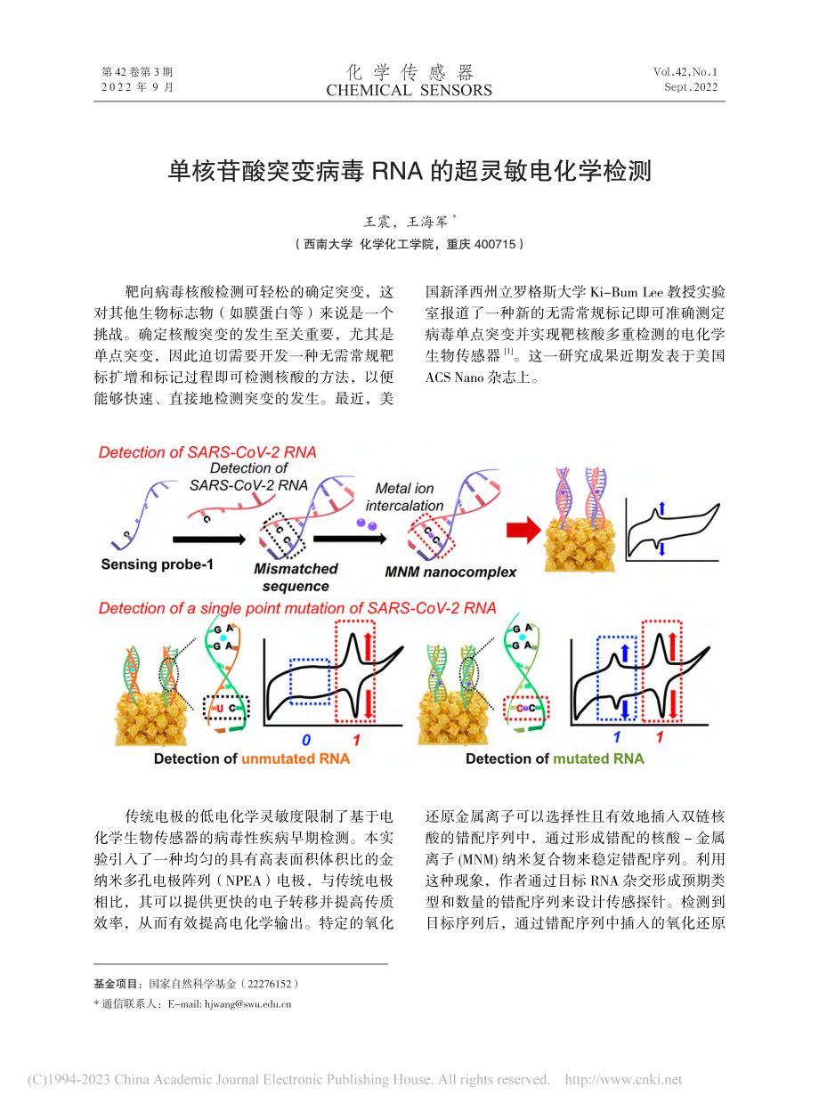 单核苷酸突变病毒RNA的超灵敏电化学检测_王震.pdf_第1页