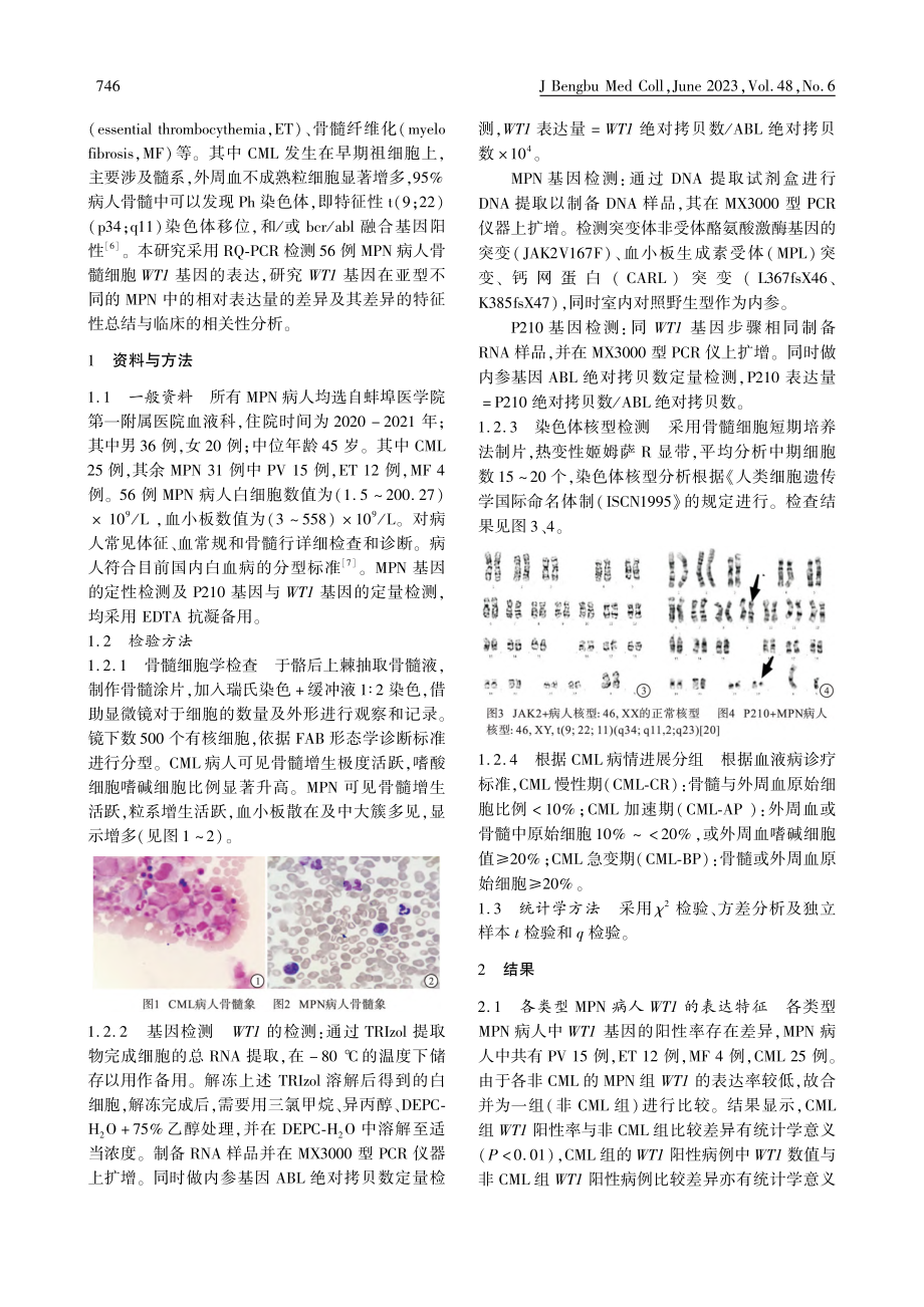 WT1在不同类型骨髓增殖性疾病病人中的表达及临床意义_胡忠利.pdf_第2页