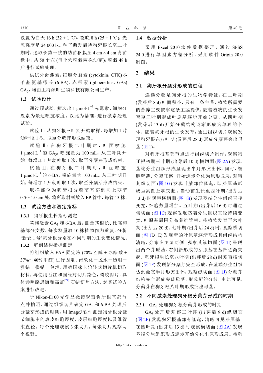 赤霉素和细胞分裂素对狗牙根分蘖芽形态结构的影响.pdf_第3页