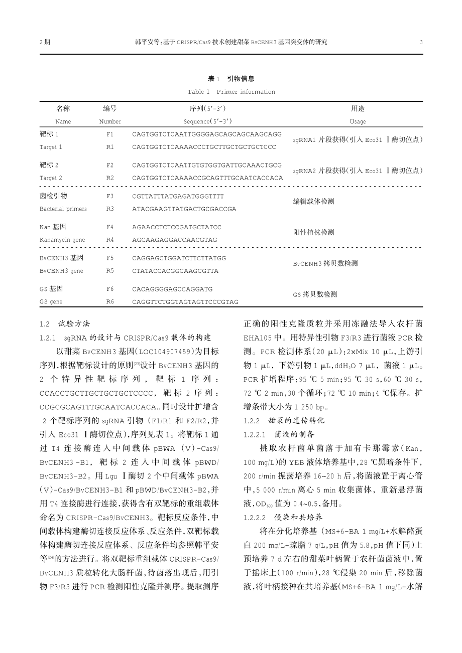 基于CRISPR_Cas9技术创建甜菜BvCENH3基因突变体的研究.pdf_第3页