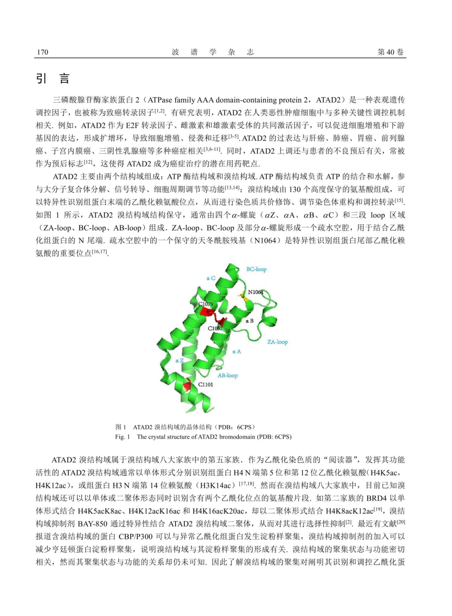 溶液中ATAD2溴结构域聚集行为的研究.pdf_第2页