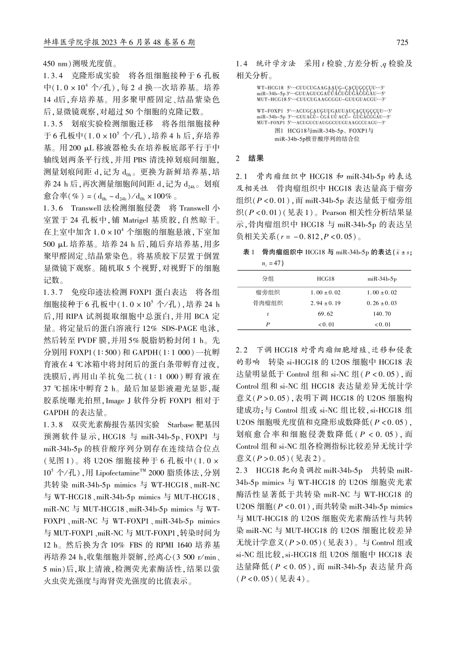 lncRNA_HCG18靶...增殖、迁移和侵袭的机制研究_刘文斌.pdf_第3页