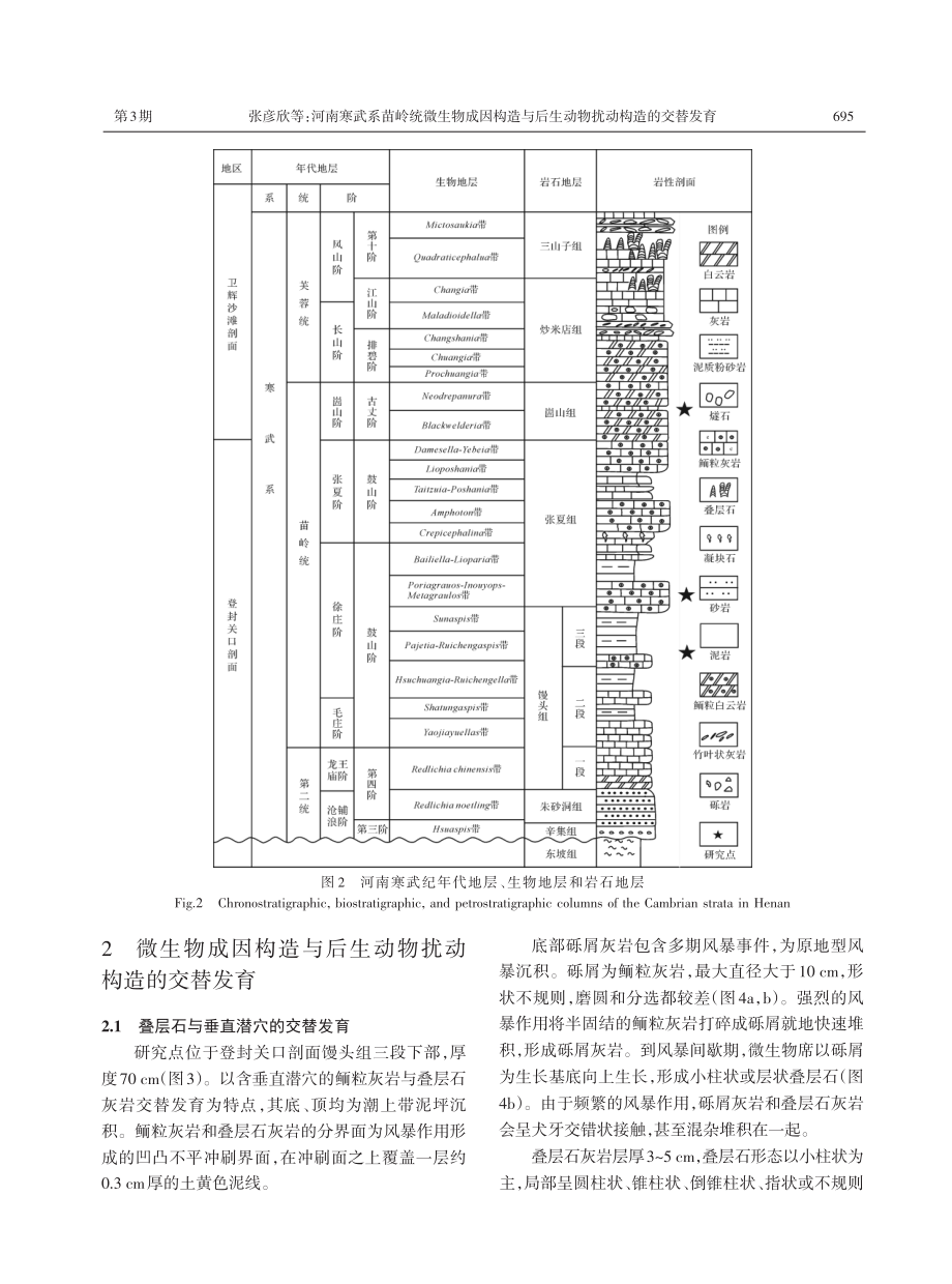 河南寒武系苗岭统微生物成因构造与后生动物扰动构造的交替发育.pdf_第3页