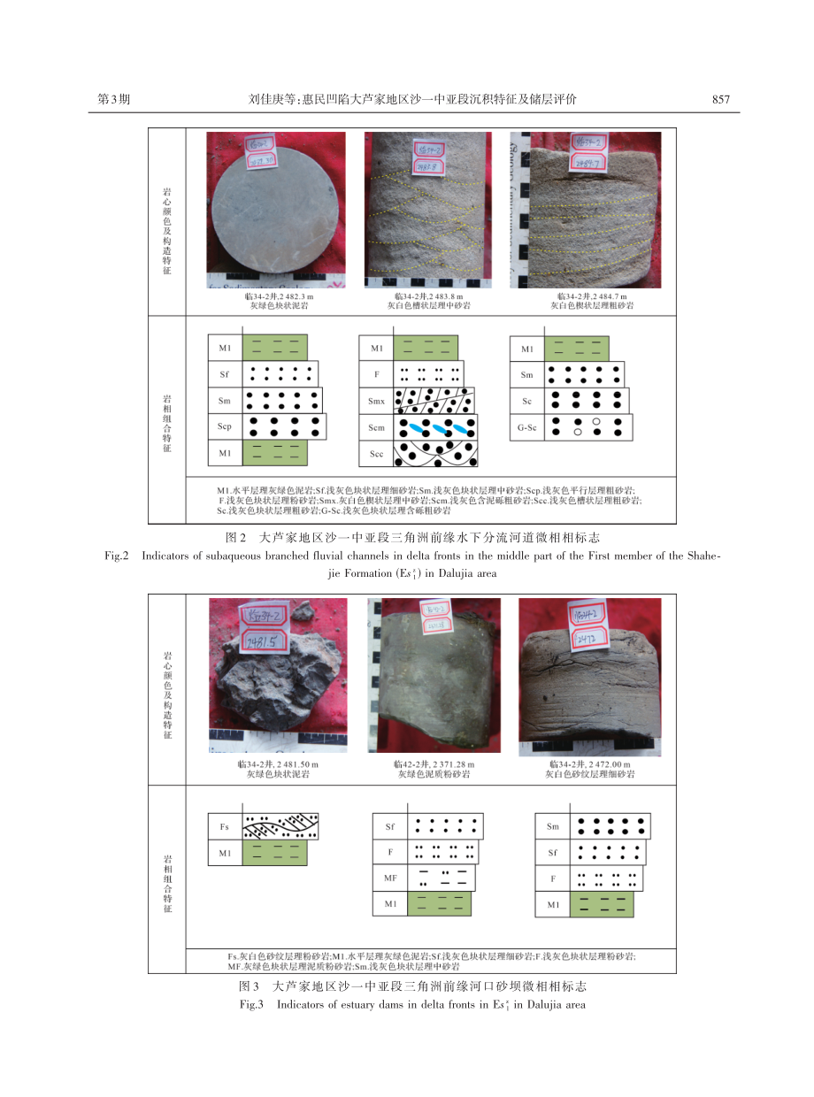 惠民凹陷大芦家地区沙—中亚段沉积特征及储层评价.pdf_第3页