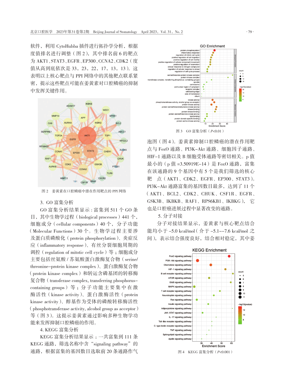 基于网络药理学和分子对接探讨姜黄素对口腔鳞状细胞癌抑制作用的潜在机制.pdf_第3页