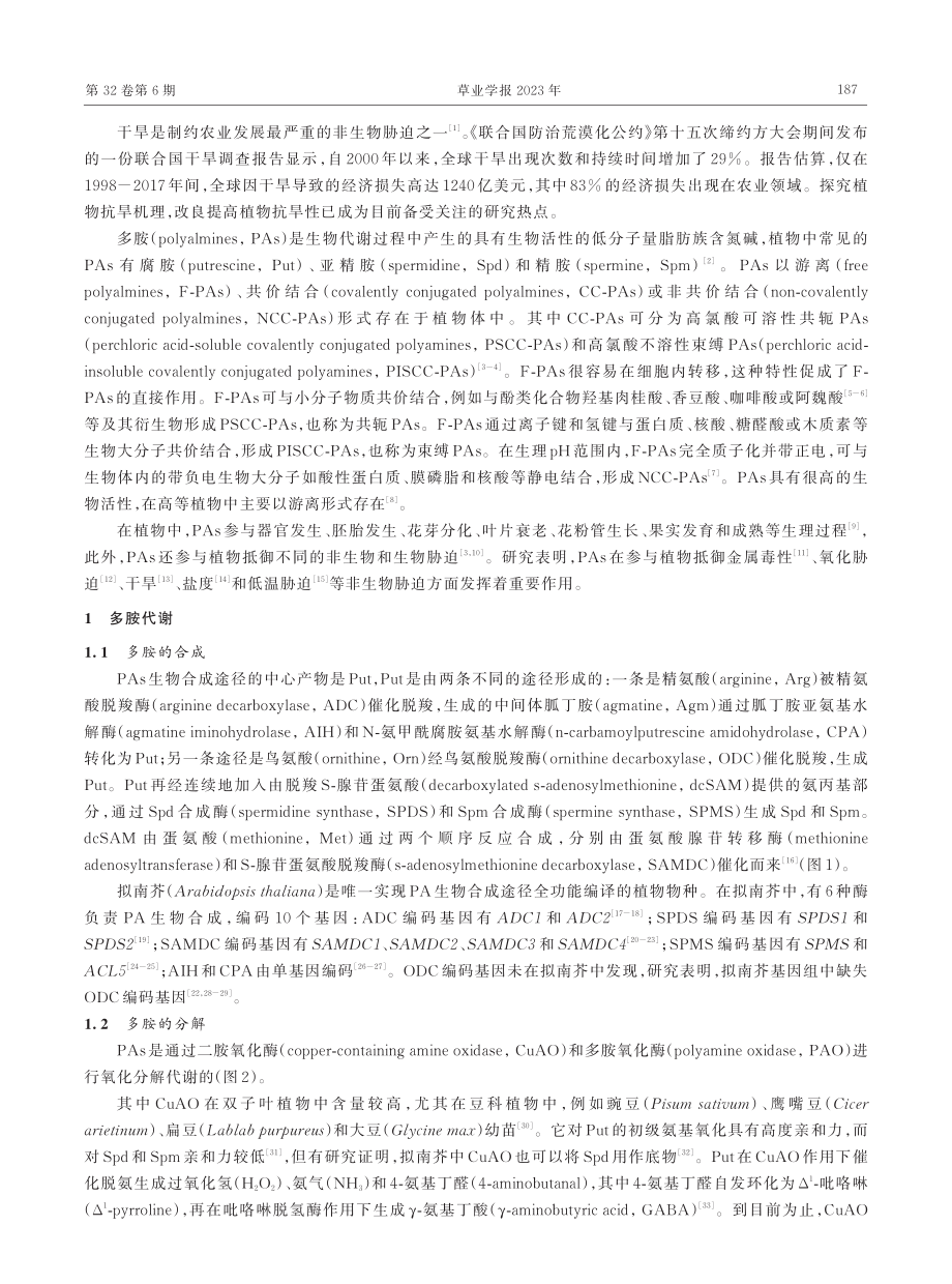 干旱胁迫下多胺在植物体内的积累及其作用.pdf_第2页