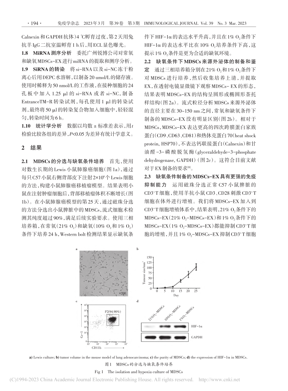 缺氧调节肺腺癌小鼠MDSC...miRNA及其免疫抑制功能_郑玉涛.pdf_第3页