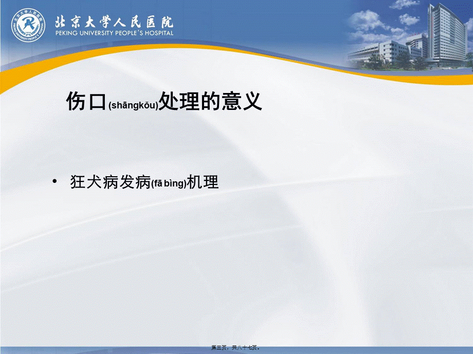 2022年医学专题—人狂犬病暴露后.ppt_第3页