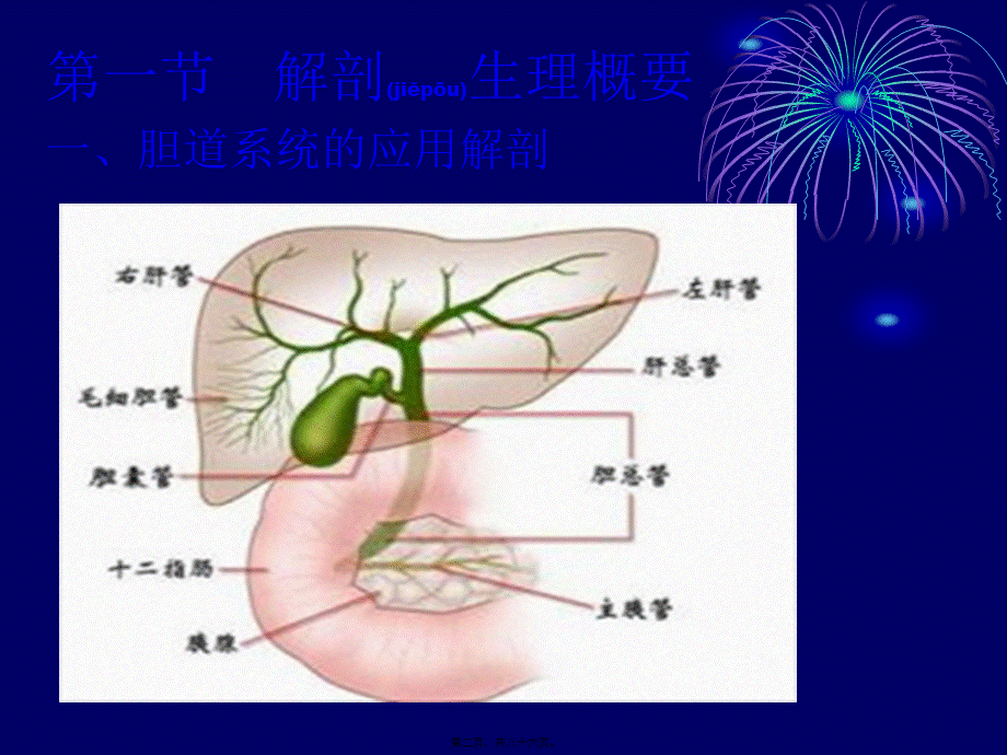 2022年医学专题—胆石症胆道感染素材.ppt_第2页